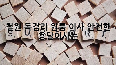 철원 독검리 원룸 이사, 안전한 용달이사는?