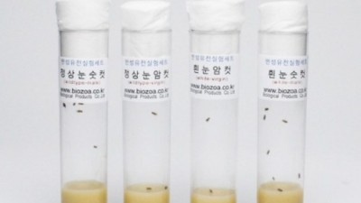 🤯 솔직 반성템! 후회없는 득템 기회 (ft. 눈물 세일)